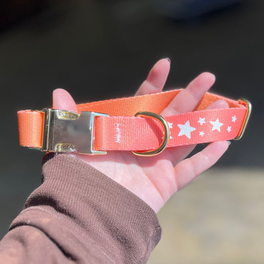 AEcon Collar